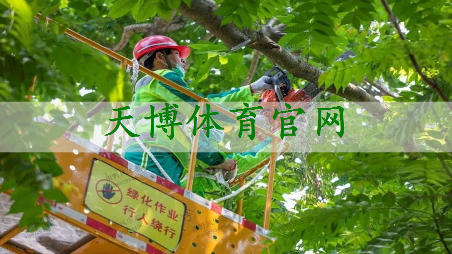 市政路绿化工程保养期