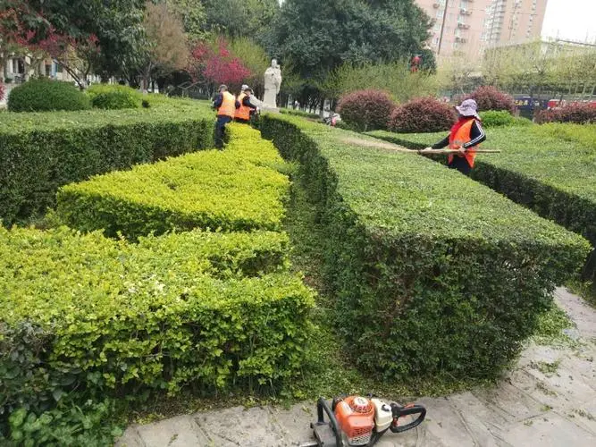 大坡度园林景观设计方案