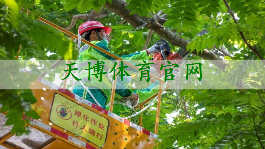 古建筑公园园林景观设计施工